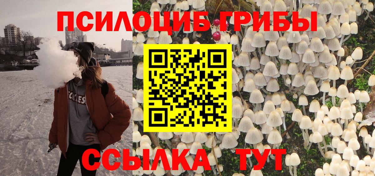 Псилоцибиновые грибы мицелий Ялуторовск